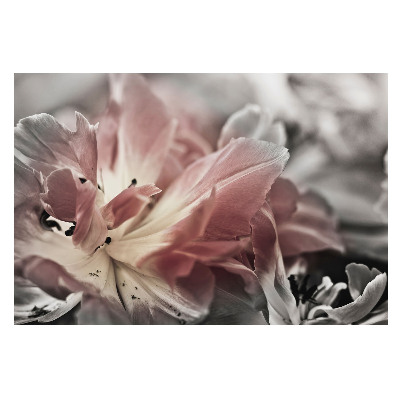 Fototapet la comandă Subtilitatea petalelor pastelate