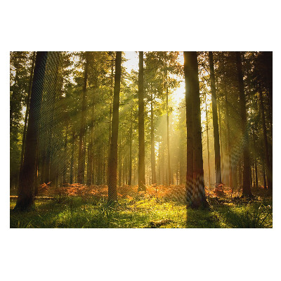 Fototapet la comandă pentru living Zori în razele soarelui