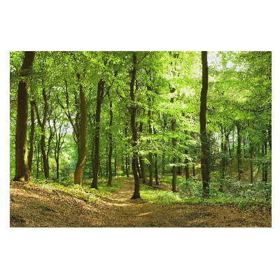 Fototapet vlies imprimat Drumul prin pădurea verde