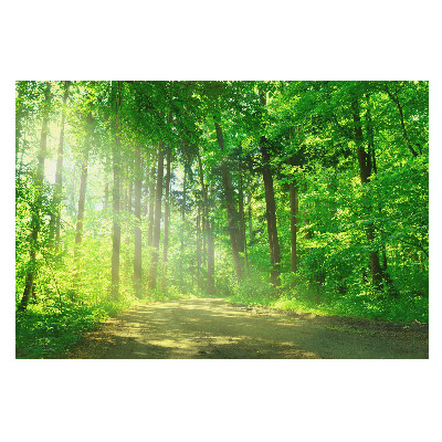 Fototapet Lumina soarelui în pădure