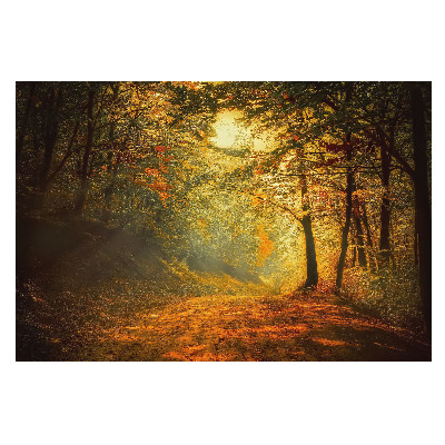 Fototapet vlies pe perete Aura aurie a pădurii de toamnă