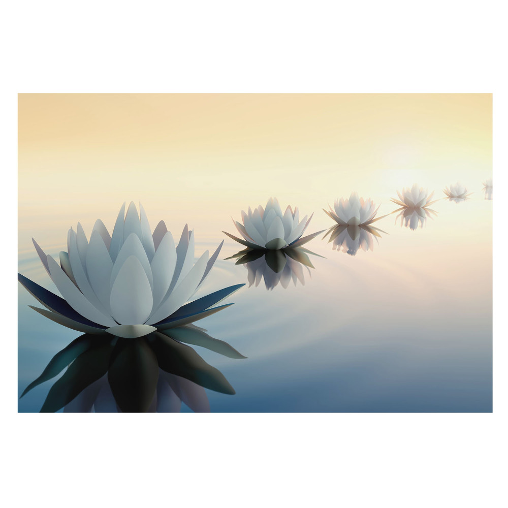 Fototapet decorativ pe perete Flori de lotus pe val