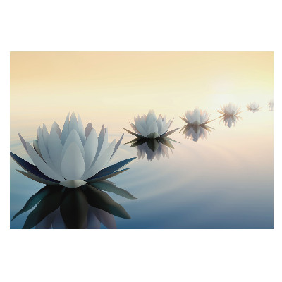Fototapet decorativ pe perete Flori de lotus pe val