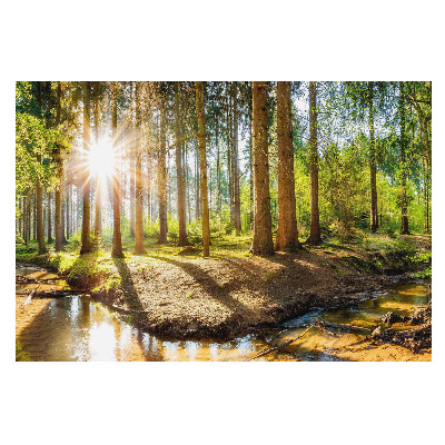Tapet foto pe vlies Pădure de basm la soare