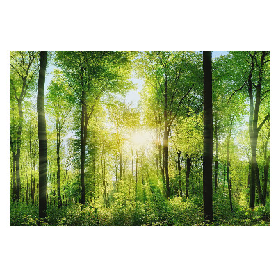 Fototapet vlies pentru dormitor Echilibrul naturii pădurii