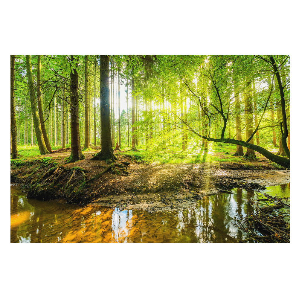 Tapet foto decorativ Trezirea vieții lângă pârâu