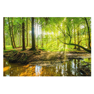 Tapet foto decorativ Trezirea vieții lângă pârâu