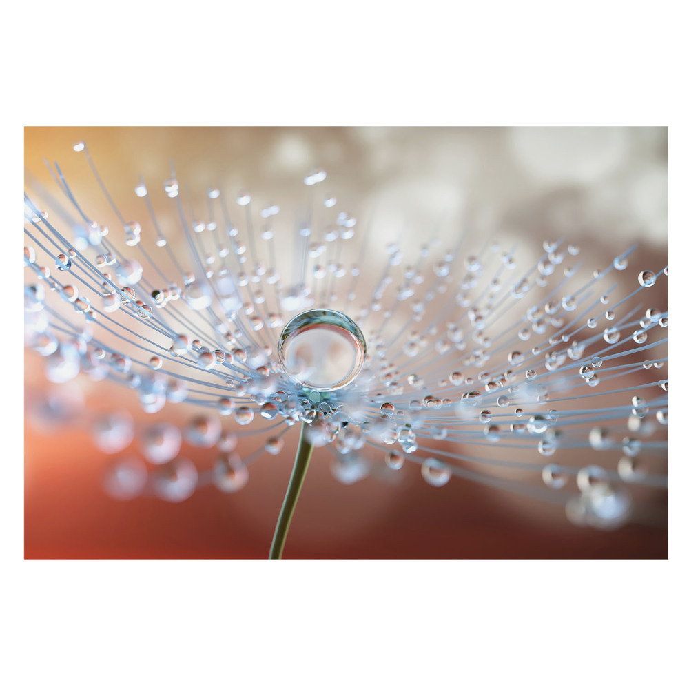 Fototapet vlies Microcosmos într-o picătură de apă