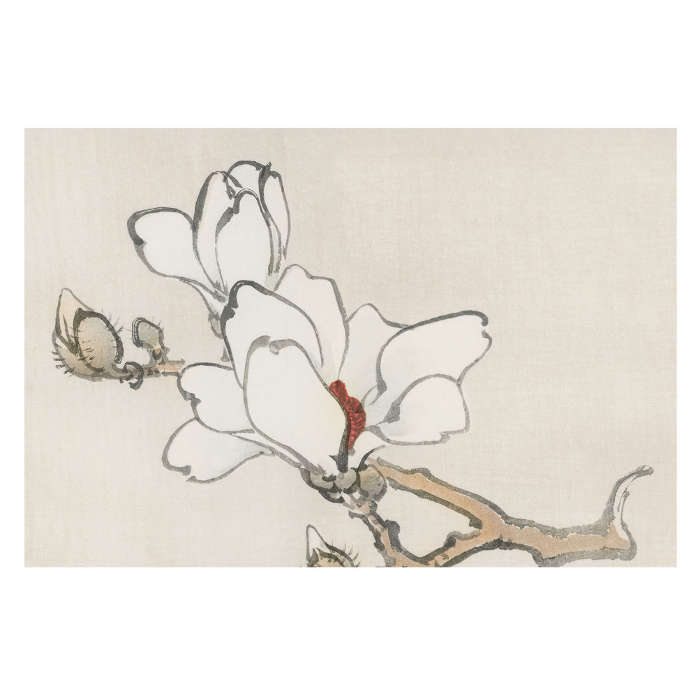 Fototapet vlies pe perete Magnolii desenate cu pensula