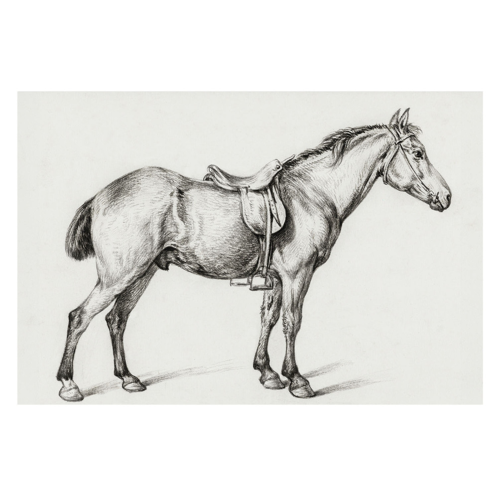 Fototapet vlies imprimat Schiță a unui cal în galop