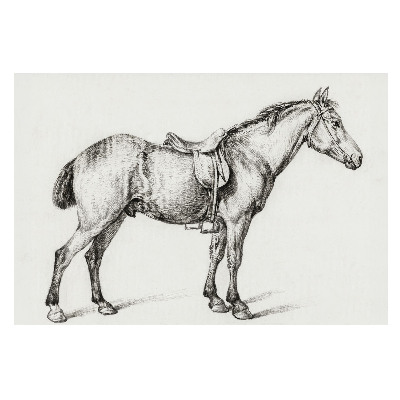 Fototapet vlies imprimat Schiță a unui cal în galop