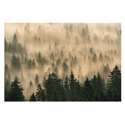 Fototapet pe perete Dimineață cețoasă în pădure