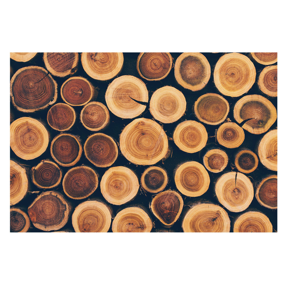 Fototapet vlies pentru living Simetria naturală a vertebrelor
