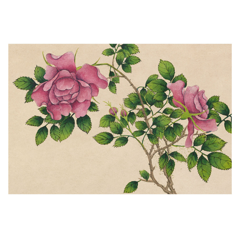 Fototapet la comandă Frumusețea clasică a trandafirilor