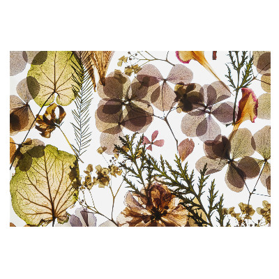 Tapet foto pe vlies Compoziție de ierburi uscate Boho