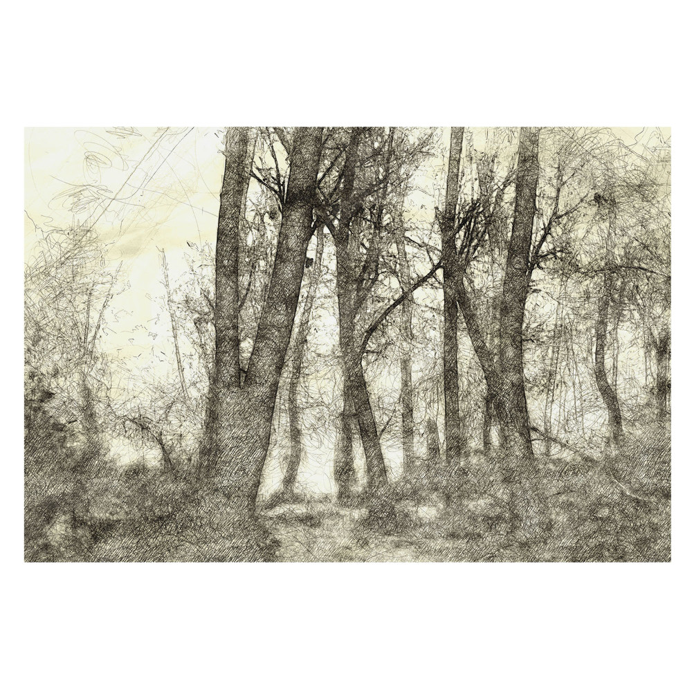 Fototapet vlies pentru copii Pădurea cu linii atmosferice