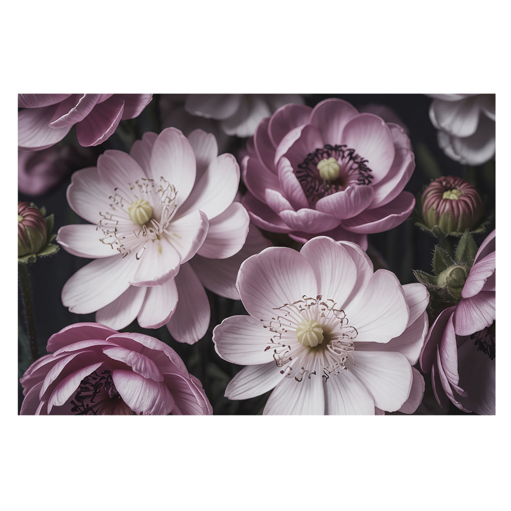 Fototapet vlies Farmecul clasic al florilor roz și albe