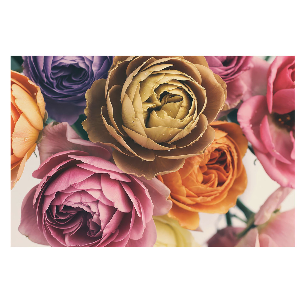 Fototapet modern la comandă Farmecul natural al trandafirilor colorați