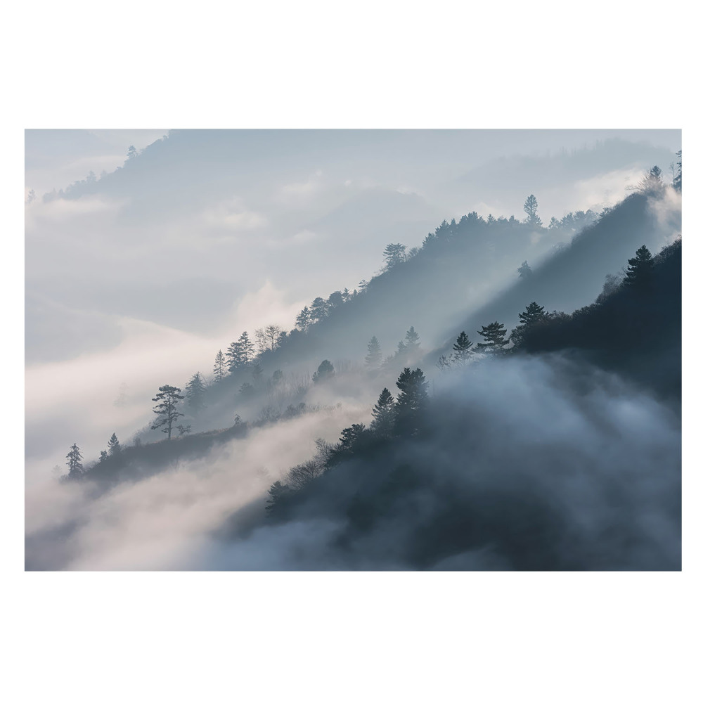 Fototapet la comandă pentru living Munți și copaci într-o strălucire cețoasă