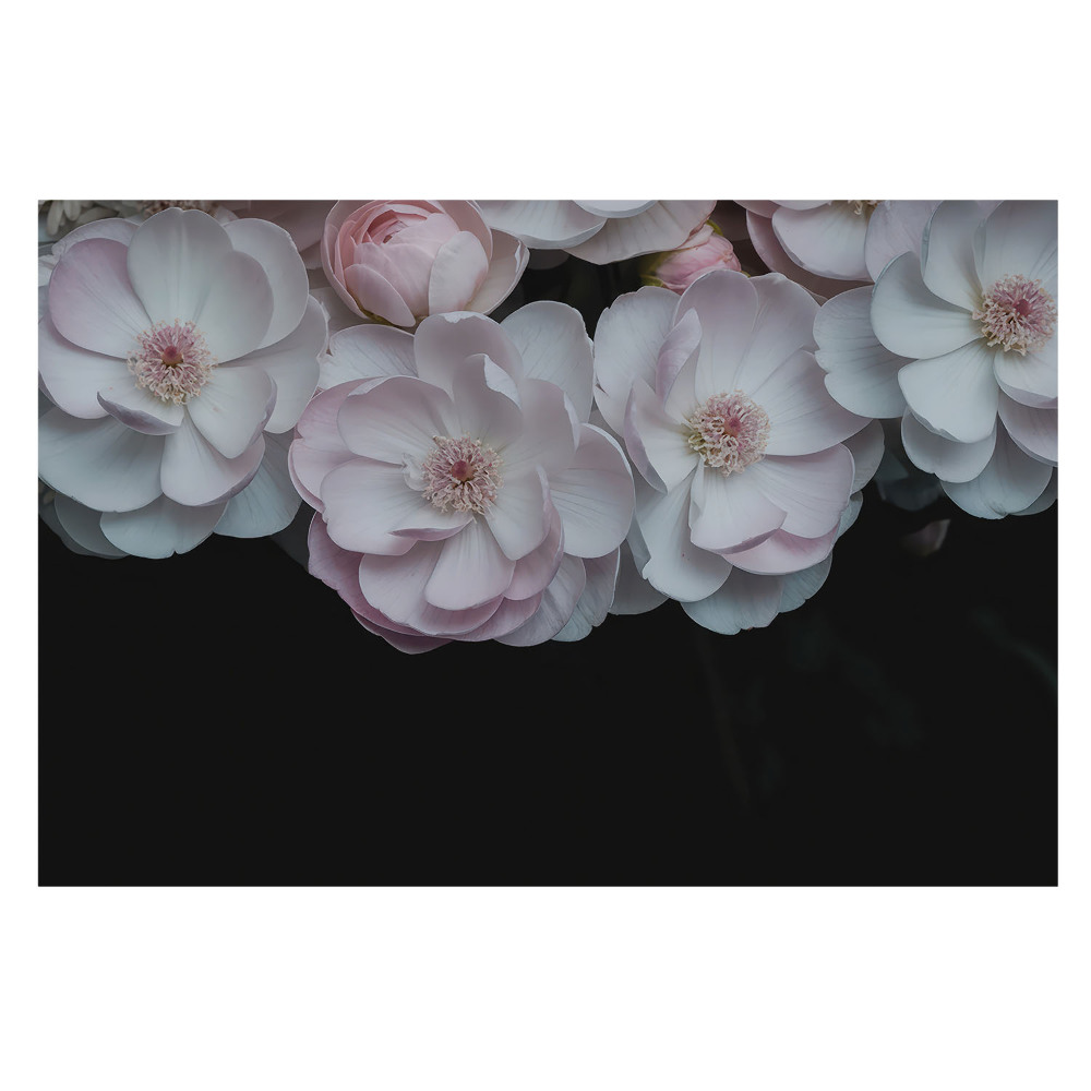 Fototapet vlies Aura romantică a florilor subtile