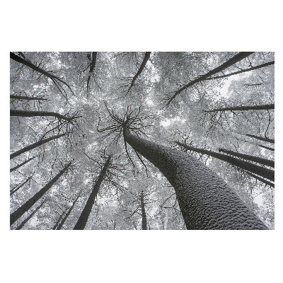 Fototapet vlies pentru copii O vedere a pădurii de iarnă dintr-o perspectivă