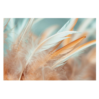 Fototapet decorativ pe perete O împletitură armonioasă de pene delicate