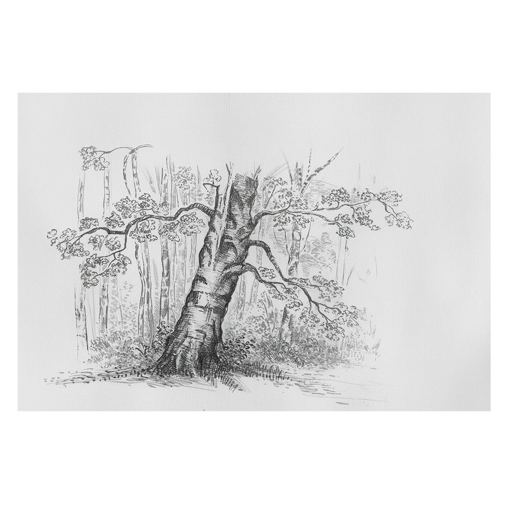 Fototapet pentru living Schiță artistică a unui copac de pădure