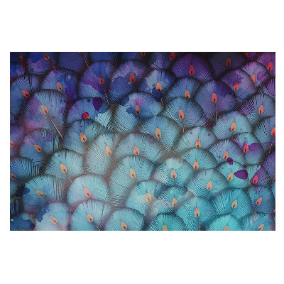 Fototapet vlies pe perete Un evantai albastru de pene abstracte