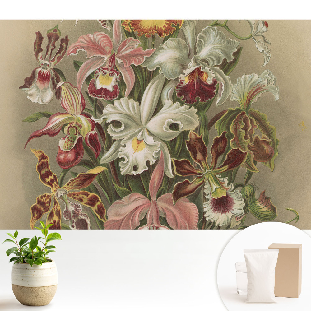 Tapet foto pe vlies Aranjament floral exotic