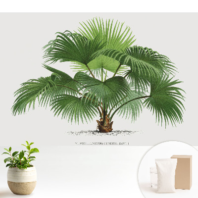 Fototapet vlies imprimat Palmier tropical