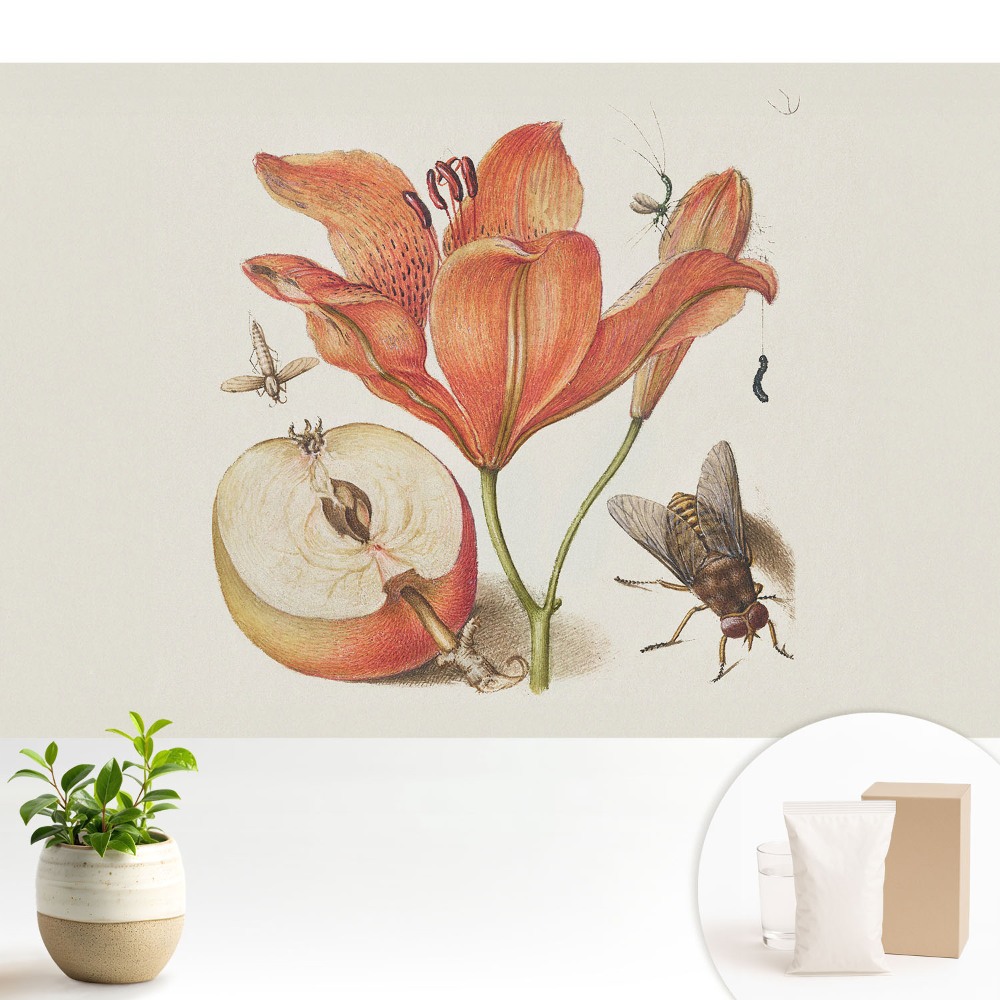 Tapet foto decorativ Atlasul Naturii