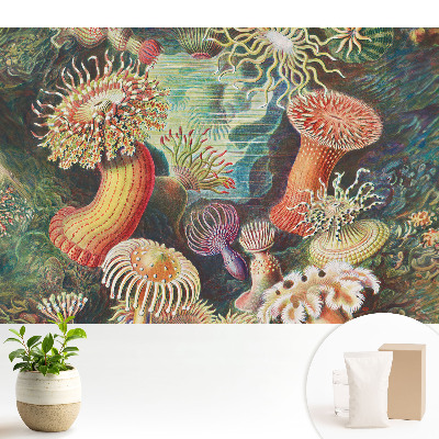 Fototapet vlies imprimat Anemone de mare colorate