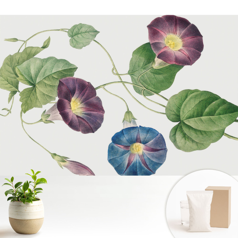 Tapet foto vlies Muguri de plante