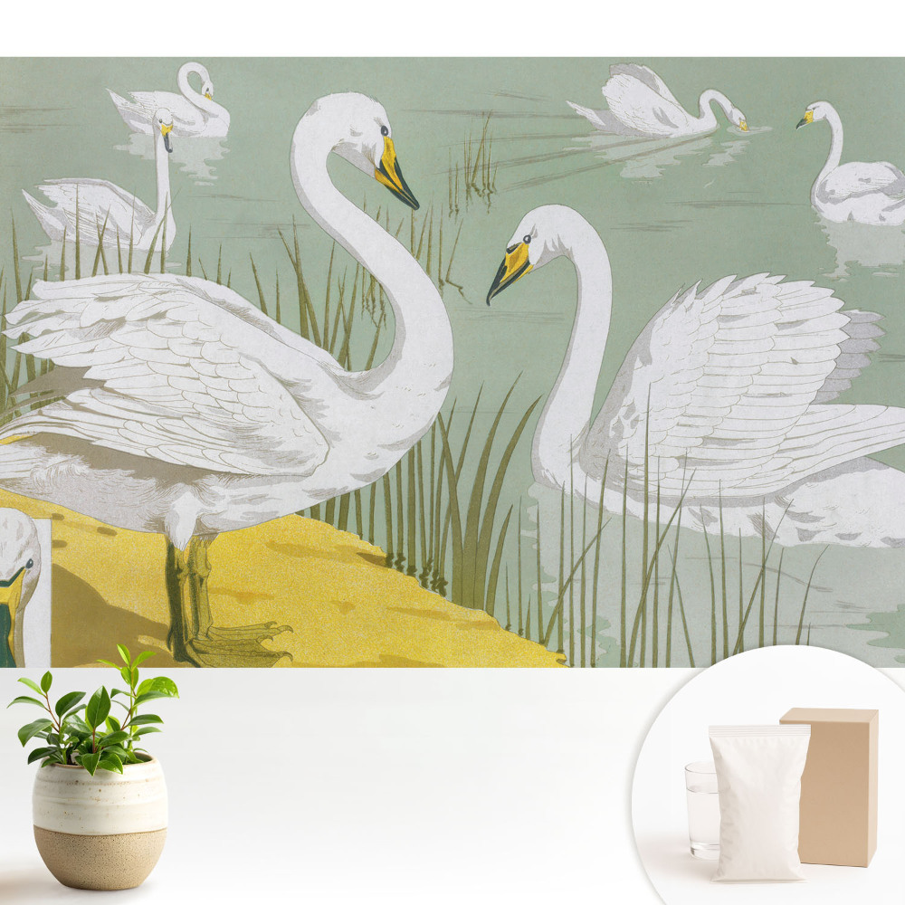 Fototapet vlies pentru living Lebede romantice pe lac