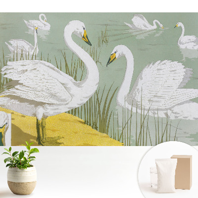 Fototapet vlies pentru living Lebede romantice pe lac