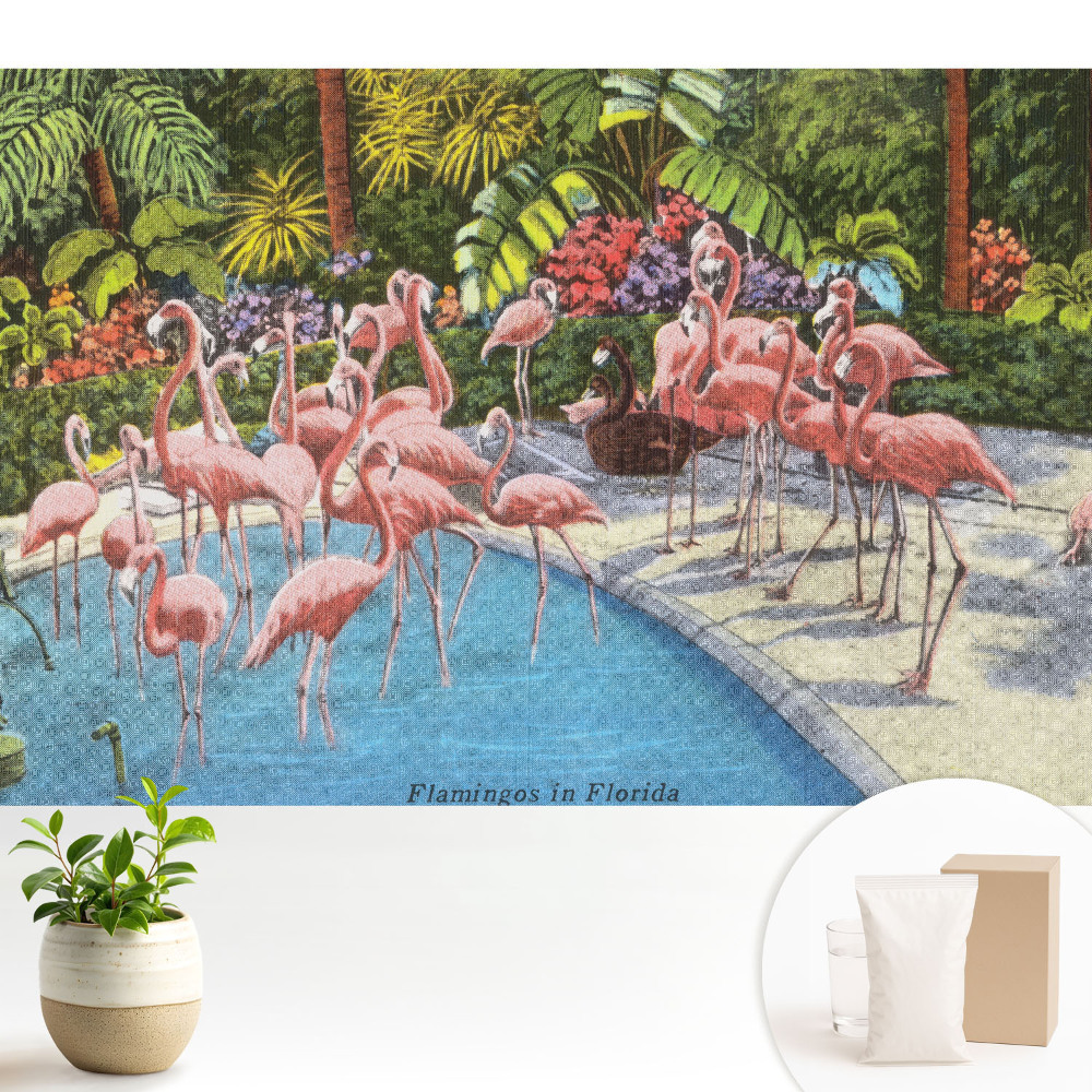 Fototapet Flamingo roz lângă apă