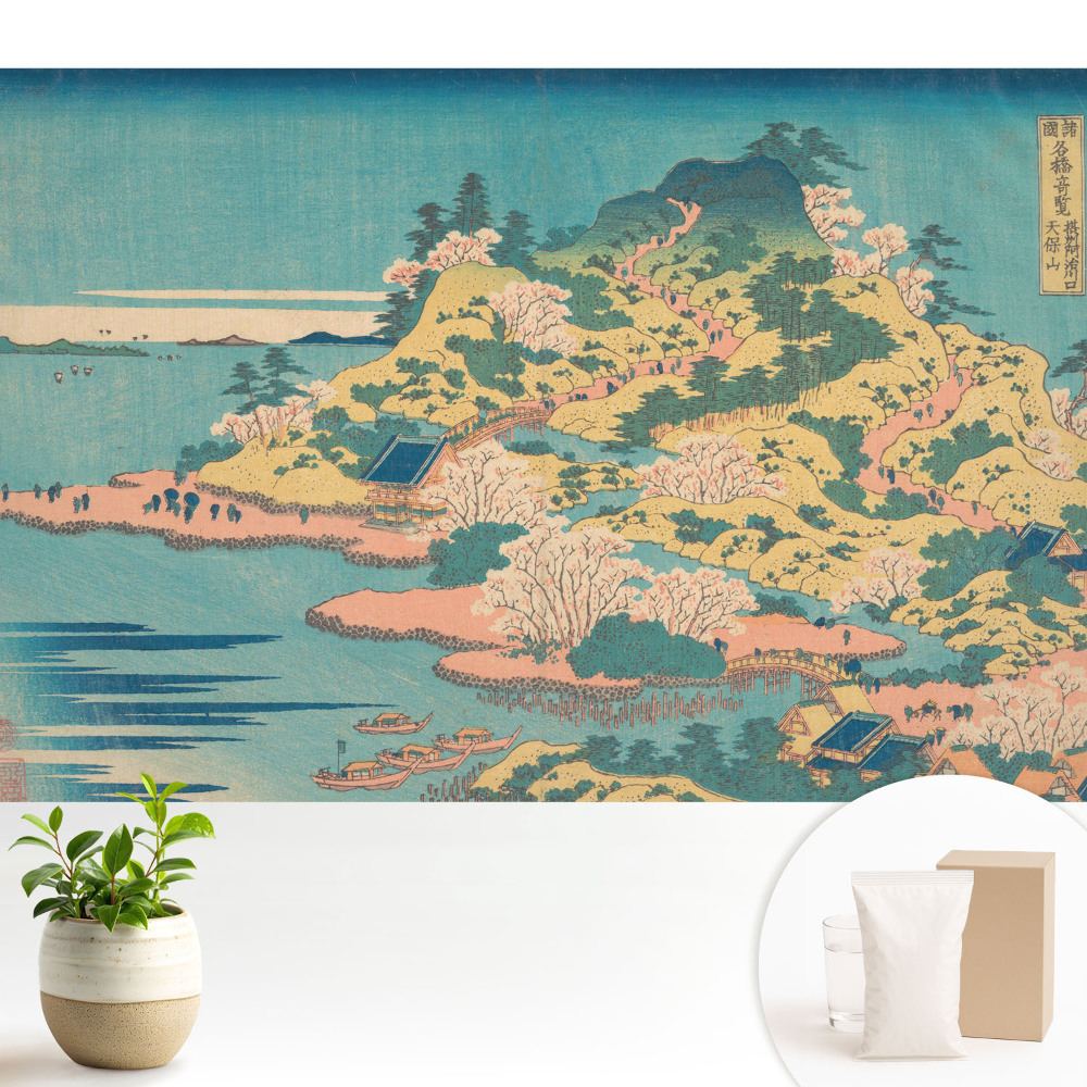 Fototapet decorativ pe perete O vedere tradițională a unei insule japoneze