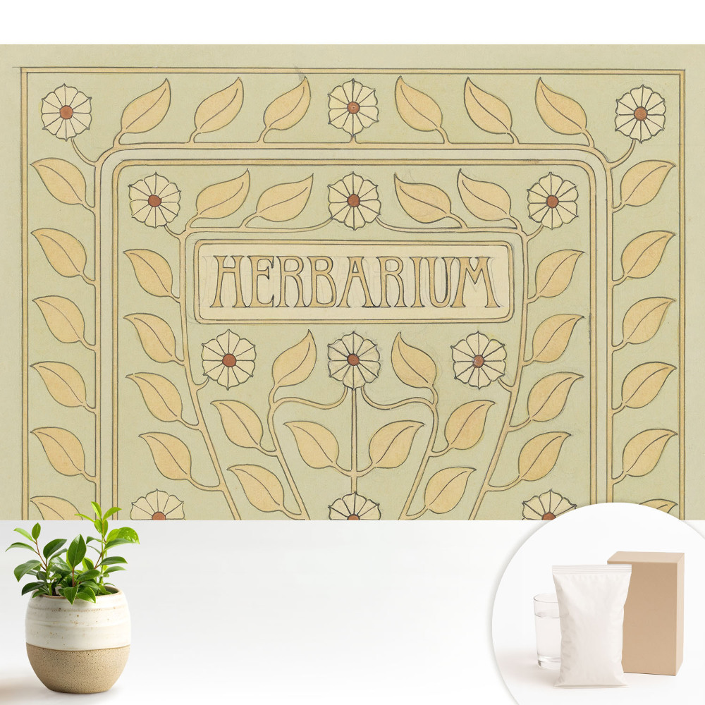 Fototapet modern la comandă Motivul herbarului Art Nouveau