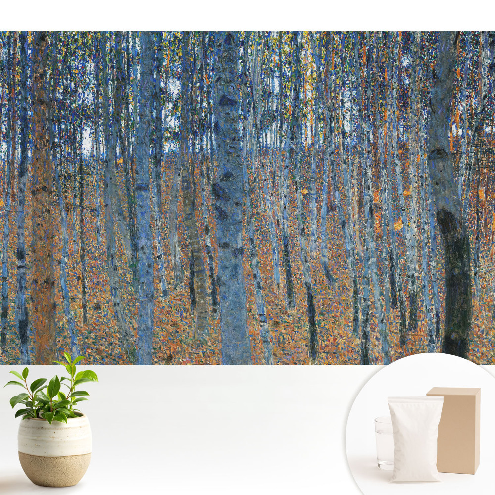 Fototapet vlies pentru living Pădure mistică de mesteacăn