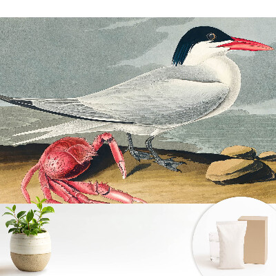 Tapet foto decorativ Duetul clasic dintre pasăre și crab