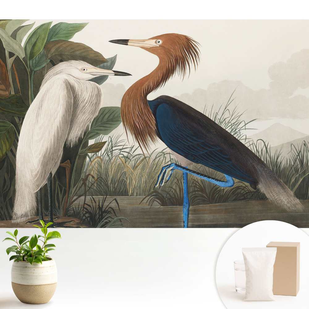 Fototapet modern Păsări elegante printre plante