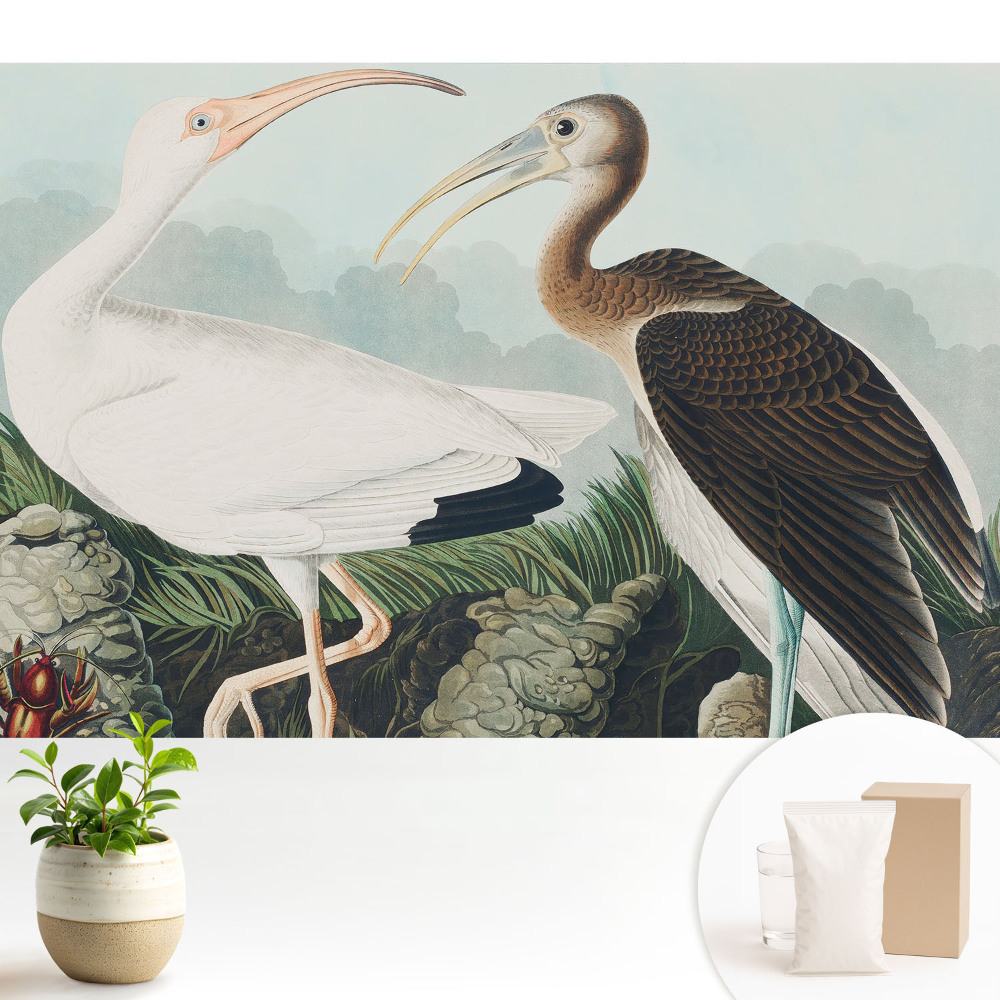 Fototapet decorativ pe perete O pereche de păsări în habitatul lor natural