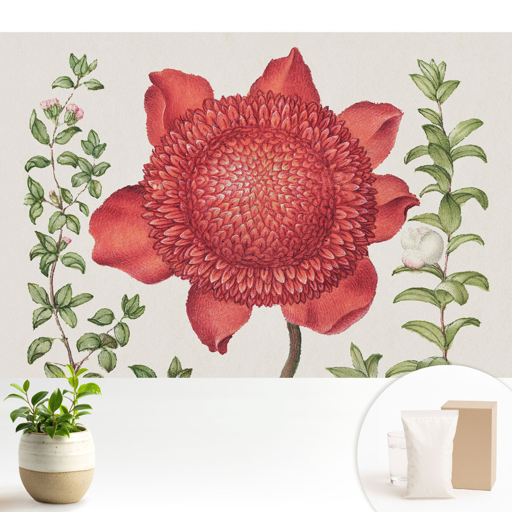 Fototapet Un buchet de flori în stil clasic