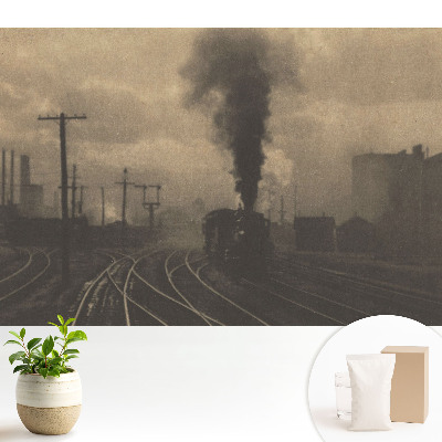 Tapet foto pe vlies Depou feroviar industrial