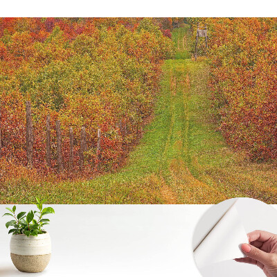 Fototapet autoadeziv pentru camera copiilor O cale aurie printr-o pădure colorată