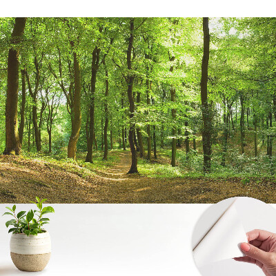 Fototapet pentru camera copiilor Drumul prin pădurea verde