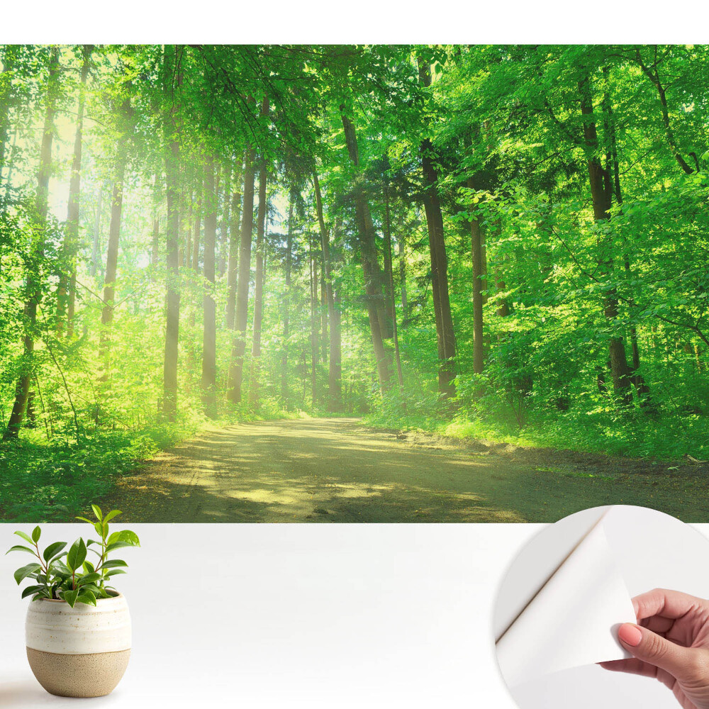 Tapet vinil Lumina soarelui în pădure
