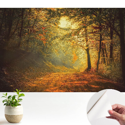 Fototapet autocolant Aura aurie a pădurii de toamnă