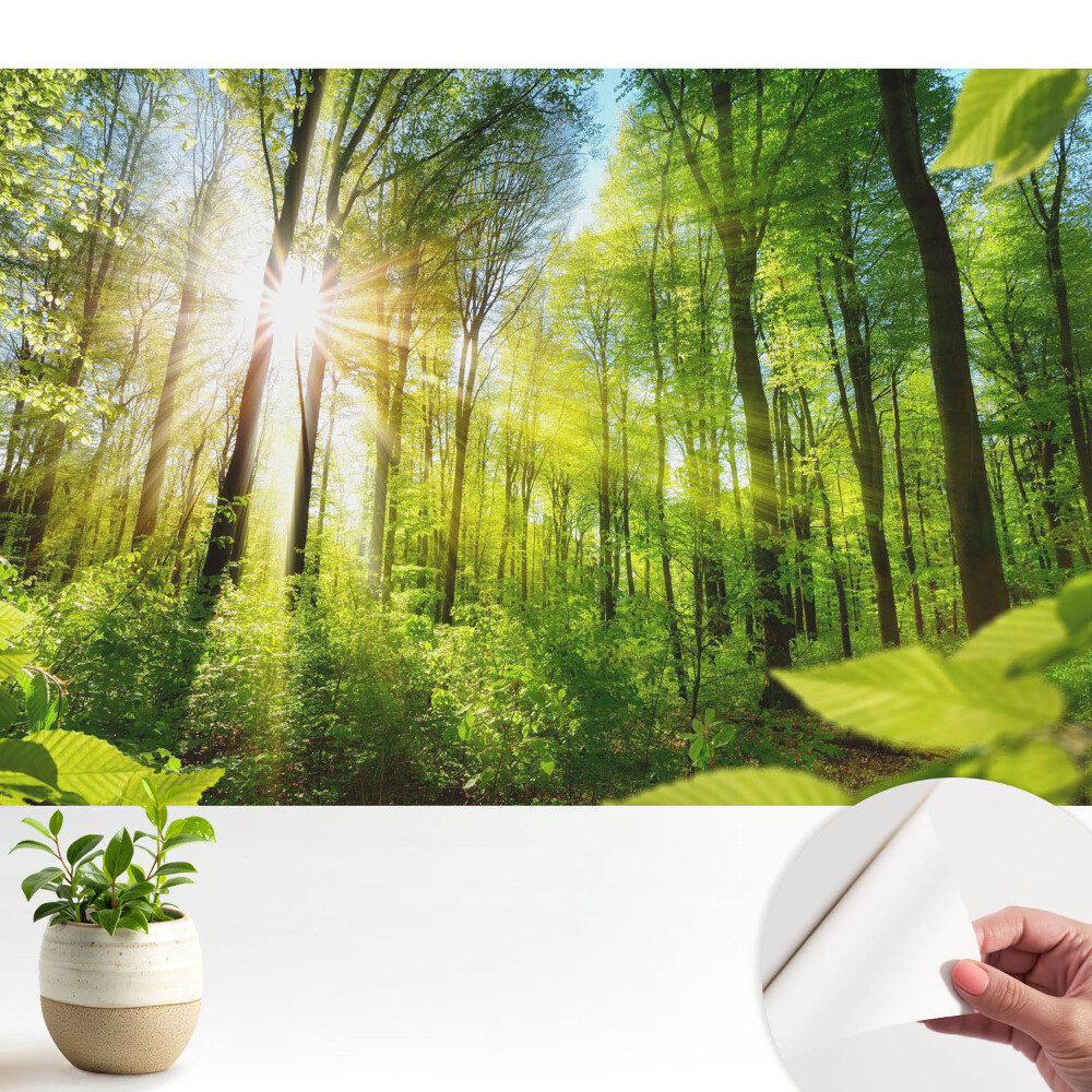 Fototapet autoadeziv pentru camera copiilor cu motivul Lumina soarelui în pădure