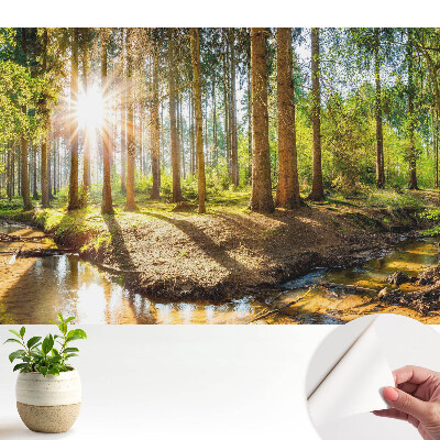 Fototapet pentru camera copiilor Pădure de basm la soare